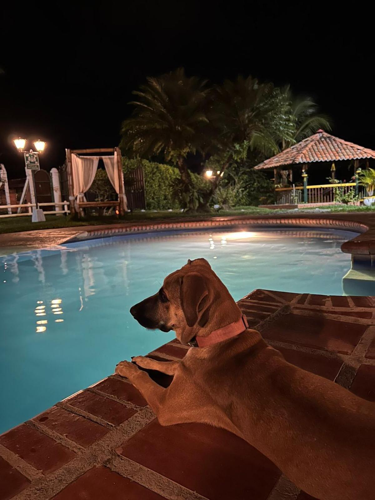 ホテル Casa Lemar キンバヤ エクステリア 写真